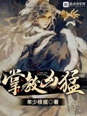 掌教实力