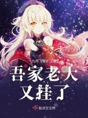 吾家大少爷