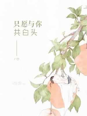 只愿与你共白头前一句