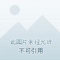 宫先生你家六宝抄家了免费观看