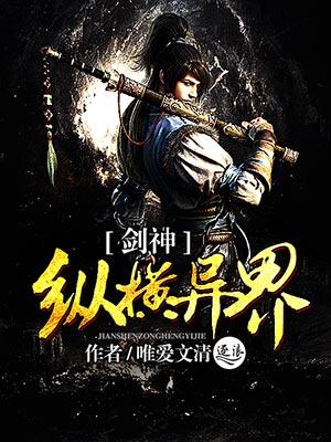 剑神纵横异界33言情