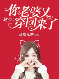 莫少你老婆又穿越了
