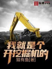 我开挖掘机养你