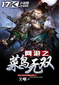 网游之菜鸟玩家的下一本是啥书?