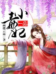 一品毒妃简要