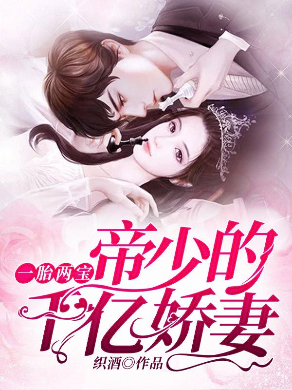 一胎二宝帝少的千亿骄妻