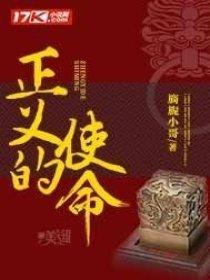正义的使命电视剧