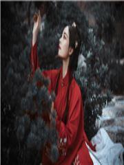 这个明星很想退休女主